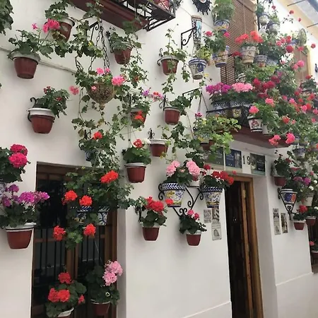 Apartamento El Rincon De La Verdad Córdoba Exterior foto