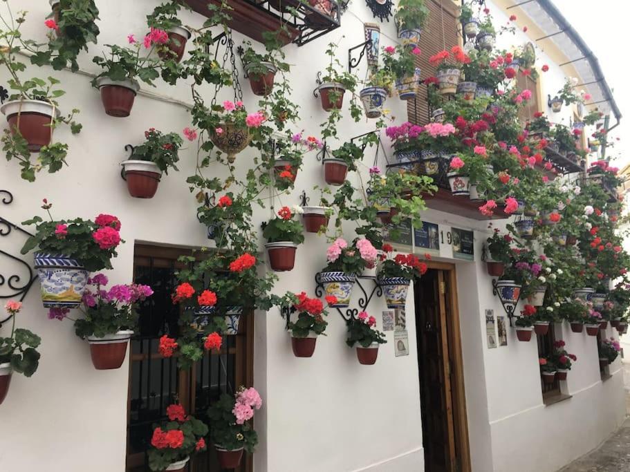 El Rincon De La Verdad Cordoba